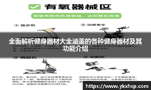 全面解析健身器材大全涵盖的各种健身器材及其功能介绍